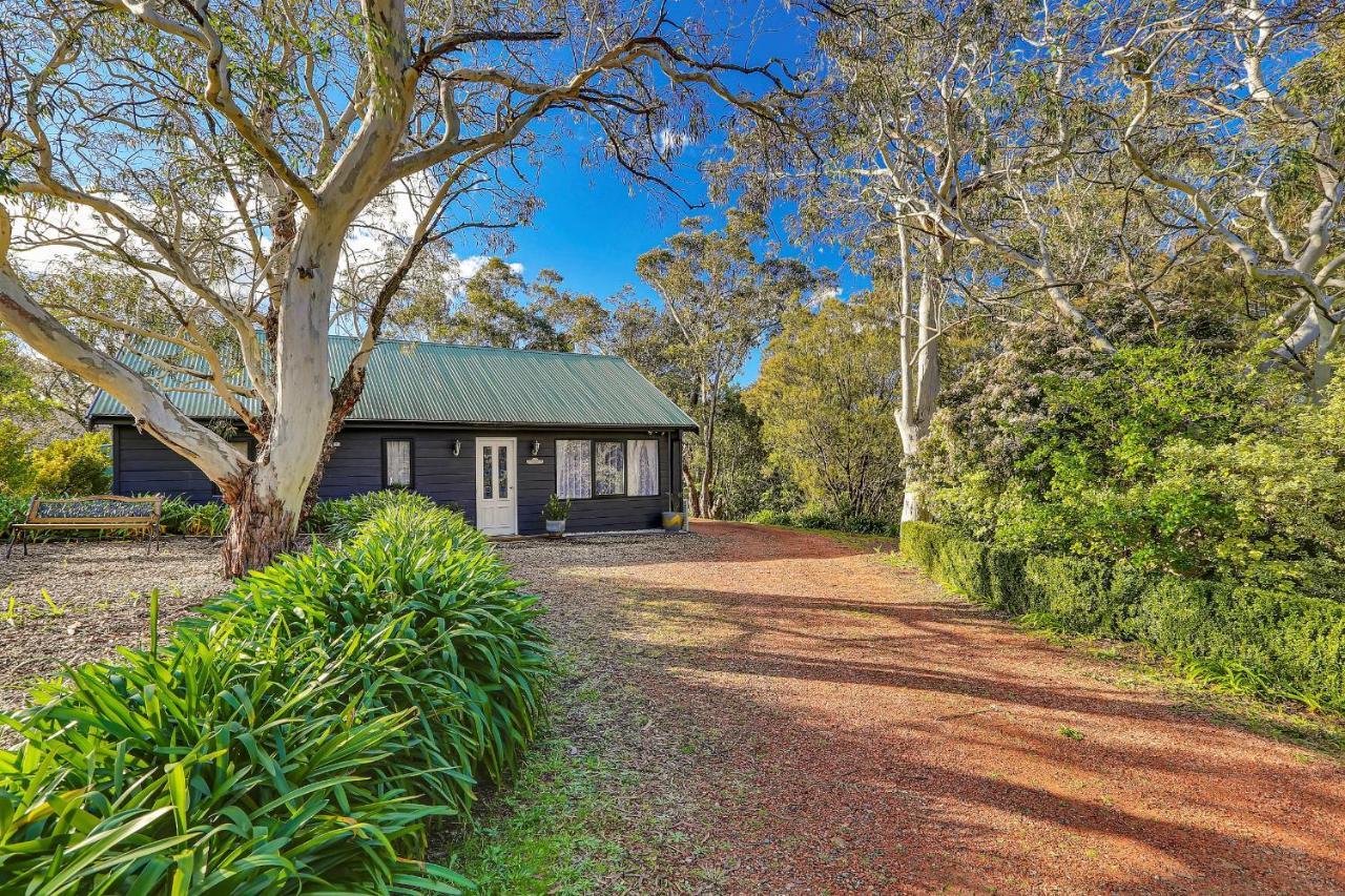 Mountainside B & B Wentworth Falls Exterior photo