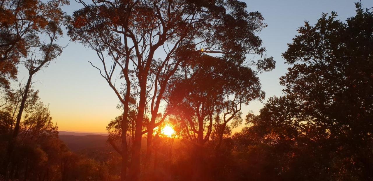 Mountainside B & B Wentworth Falls Exterior photo